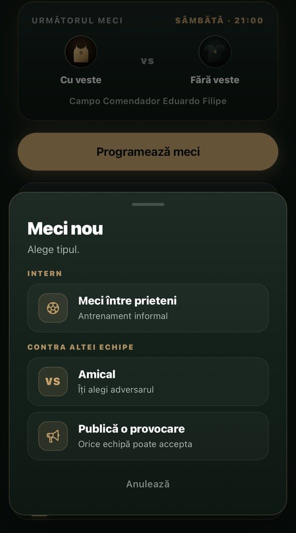 Ecran de alegere a tipului de meci: între prieteni, amical sau provocare