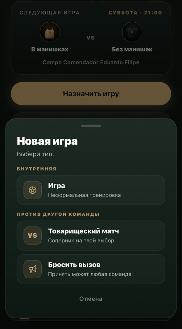 Экран выбора типа игры: дворовая игра, товарищеская или вызов